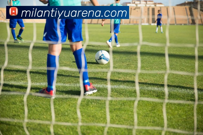 米兰体育平台生态图