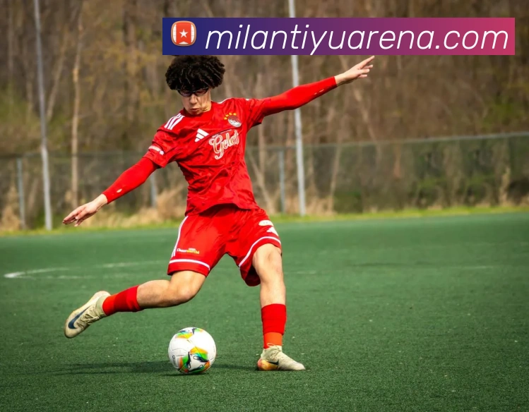 米兰体育APP 封面图